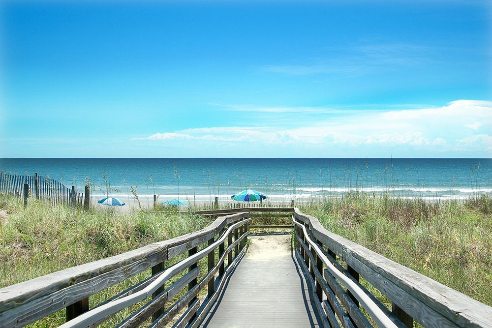 Carolina Coast art print by Kelly Donovan for $57.95 CAD