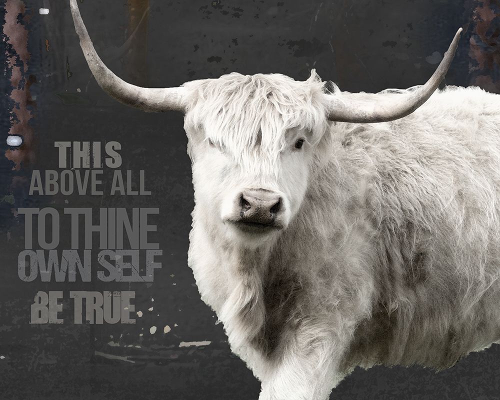 Longhorn Be True art print by Rhonda Addison for $57.95 CAD