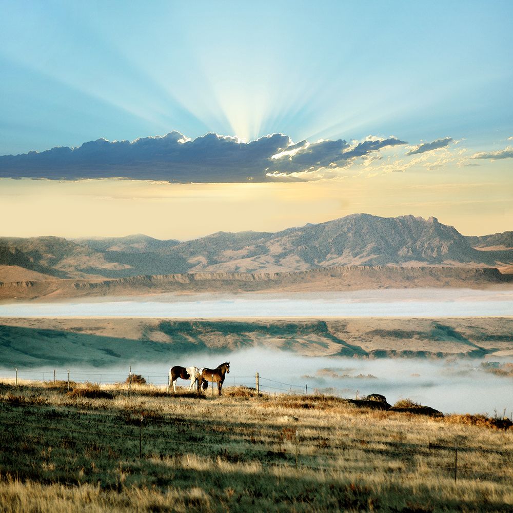 Horse Sunset art print by Rhonda Addison for $57.95 CAD