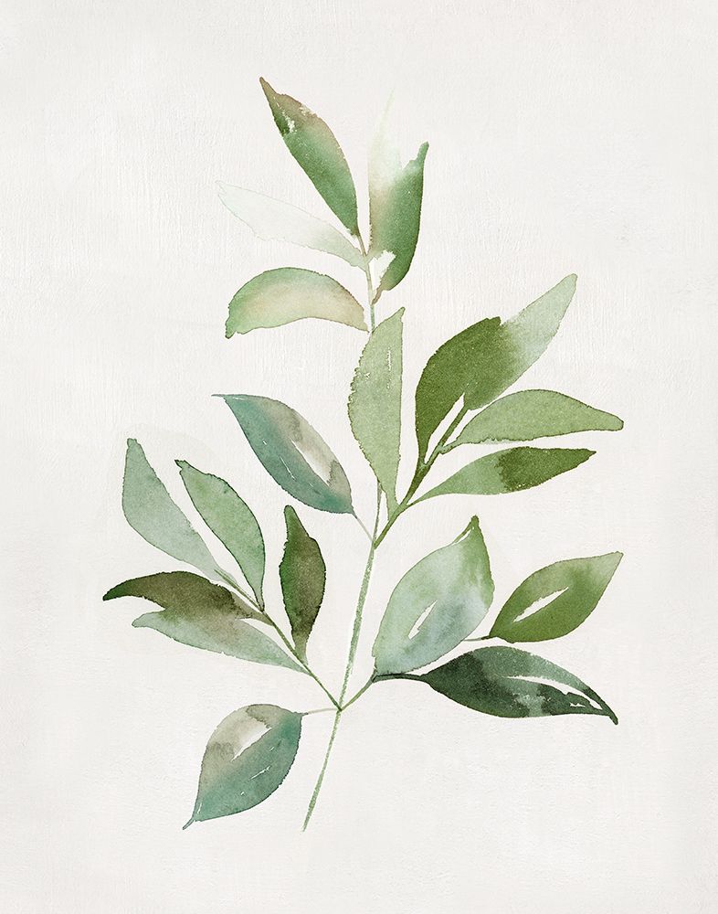 Fresh Leaf Montage II art print by Kristen Brockmon for $57.95 CAD