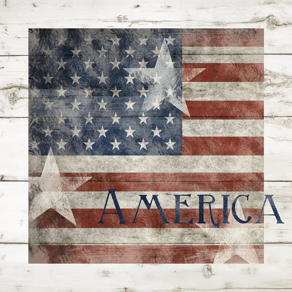 Stars and Stripes art print by Carol Robinson for $57.95 CAD