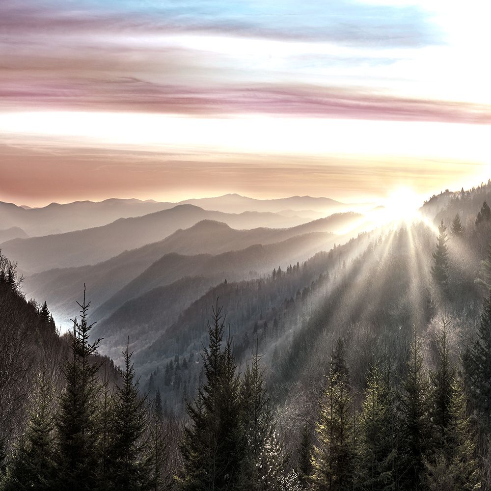 Great Smokies Sunrise art print by Danita Delimont for $57.95 CAD
