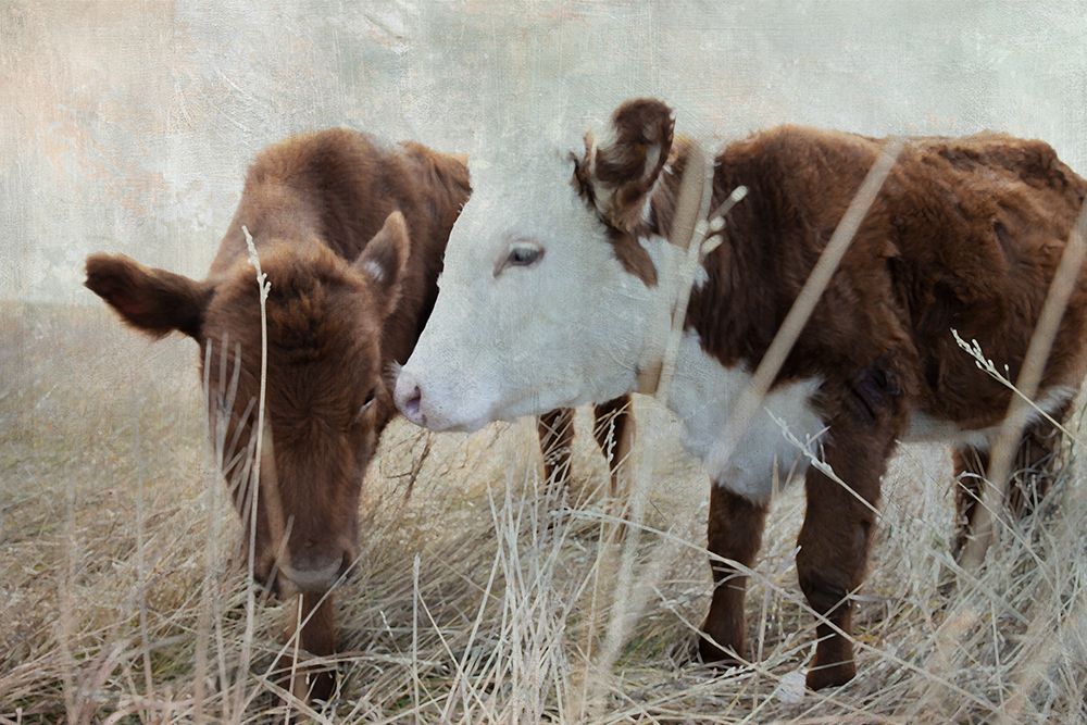 Two Friends art print by Carol Robinson for $57.95 CAD