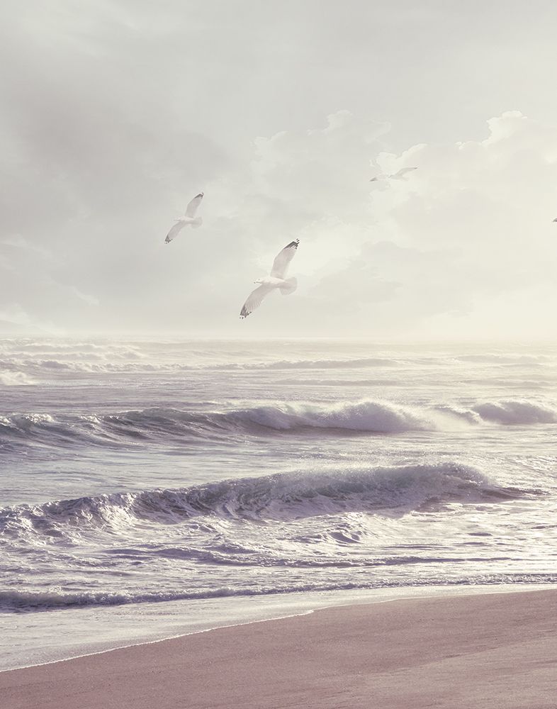 Catching the Wind art print by Mike Calascibetta for $57.95 CAD