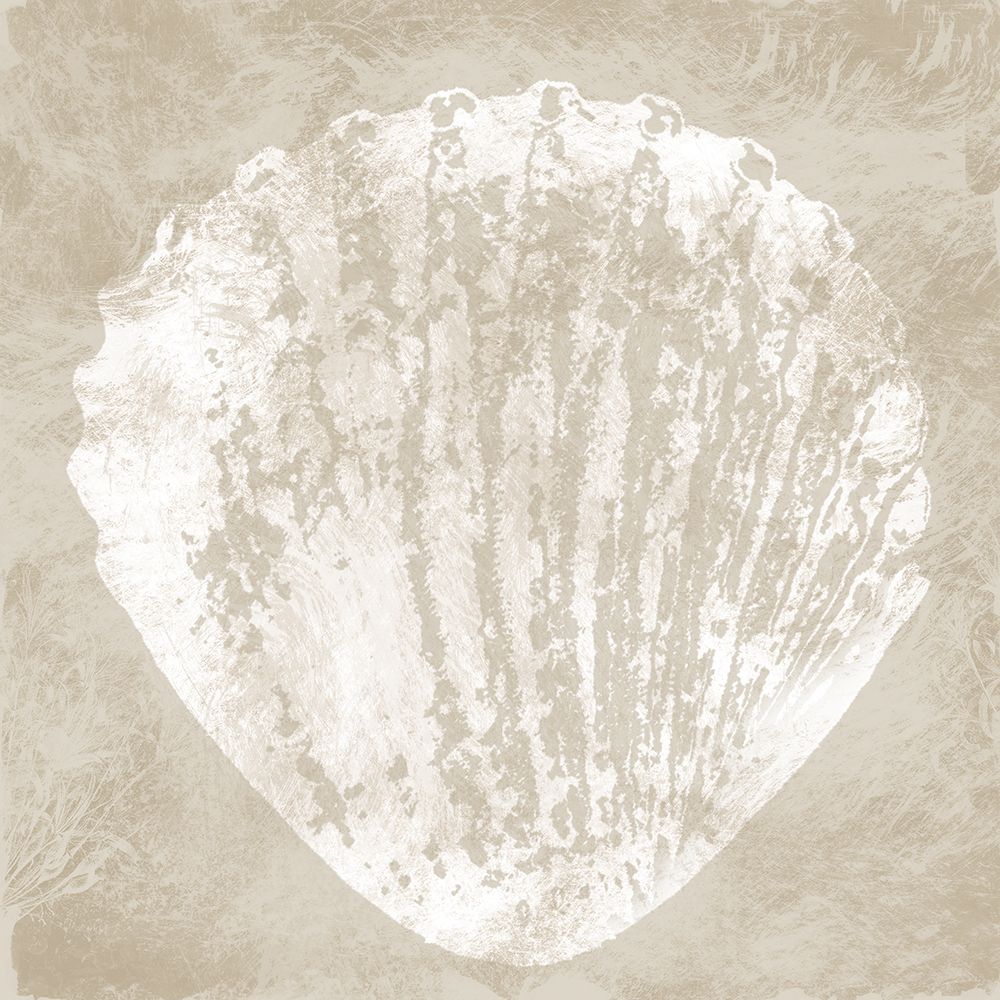 Sandy Shell I art print by Carol Robinson for $57.95 CAD
