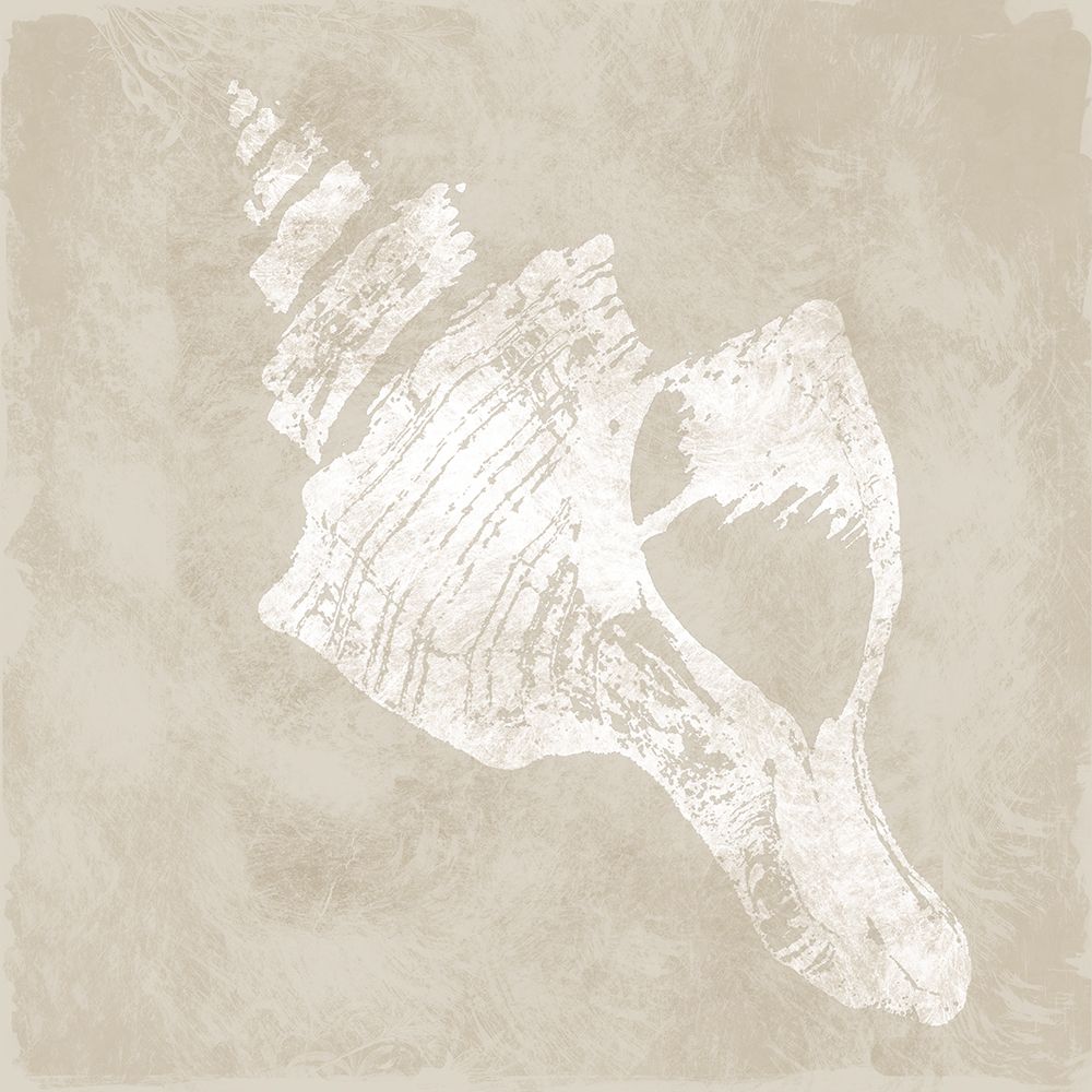 Sandy Shell II art print by Carol Robinson for $57.95 CAD