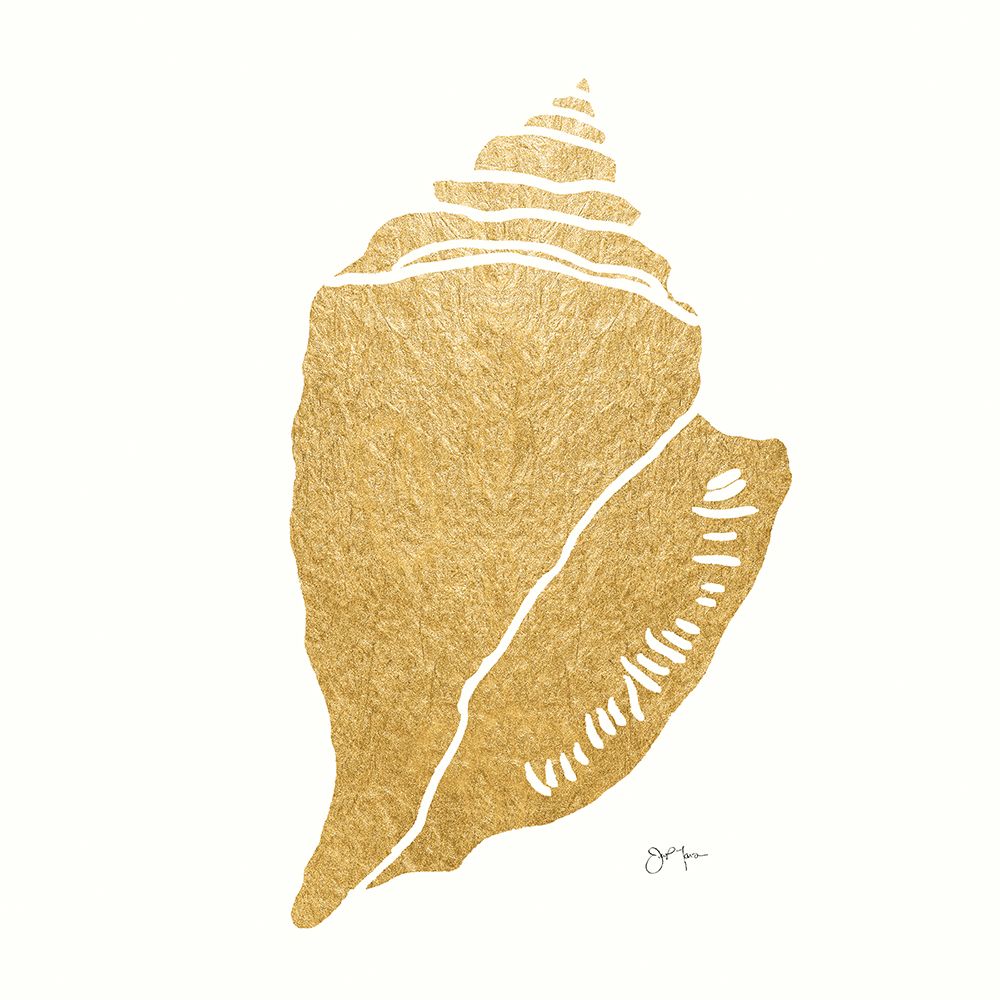 Decorative Shell II art print by Tava Studios for $57.95 CAD