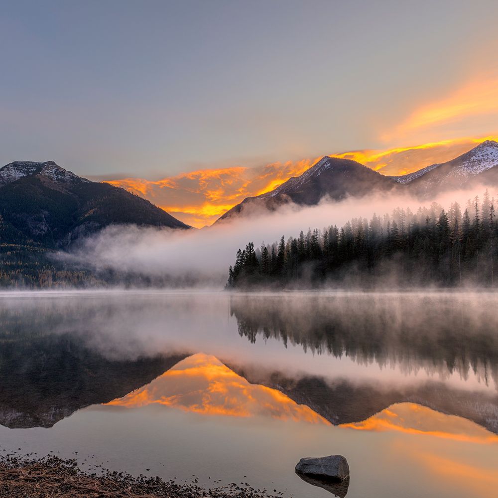 Sunrise Fog art print by Danita Delimont for $57.95 CAD