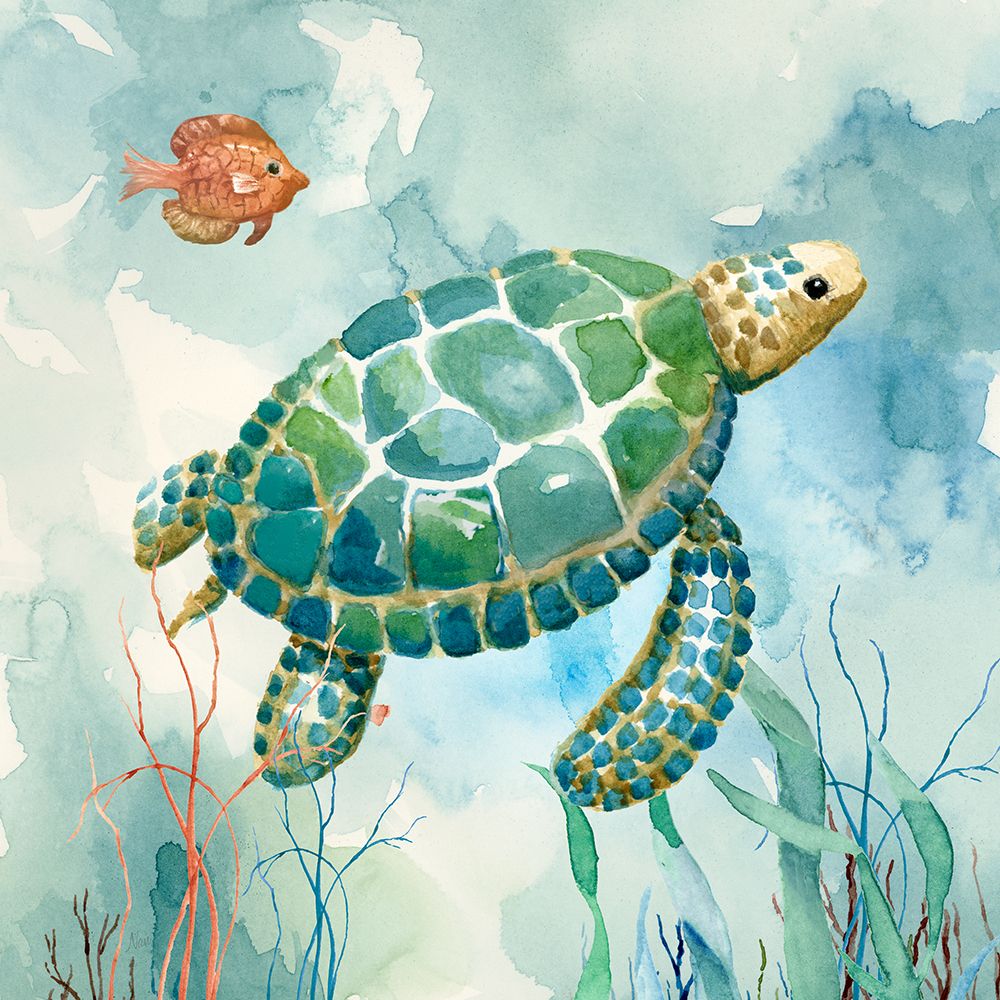Coral Bay Sea Turtle I art print by Nan for $57.95 CAD
