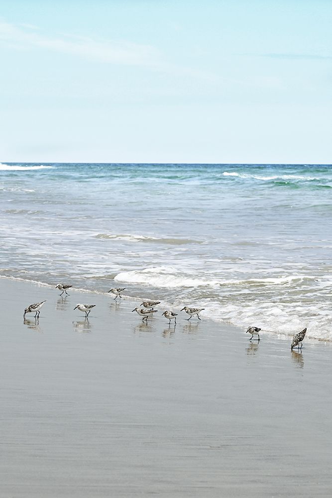 Sea Grazing art print by Natalie Carpentieri for $57.95 CAD
