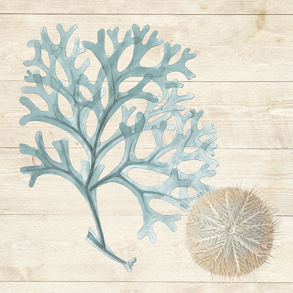 Blue Seaweed I art print by Susan Arnot for $57.95 CAD