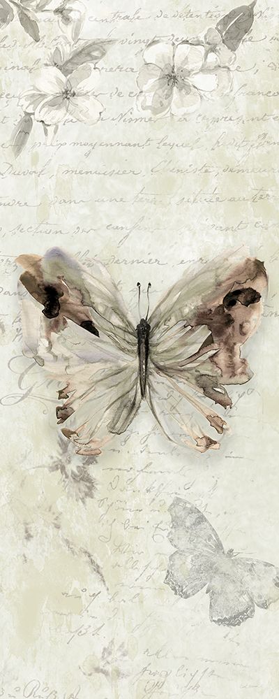 La Chanson du Papillon II art print by Carol Robinson for $57.95 CAD