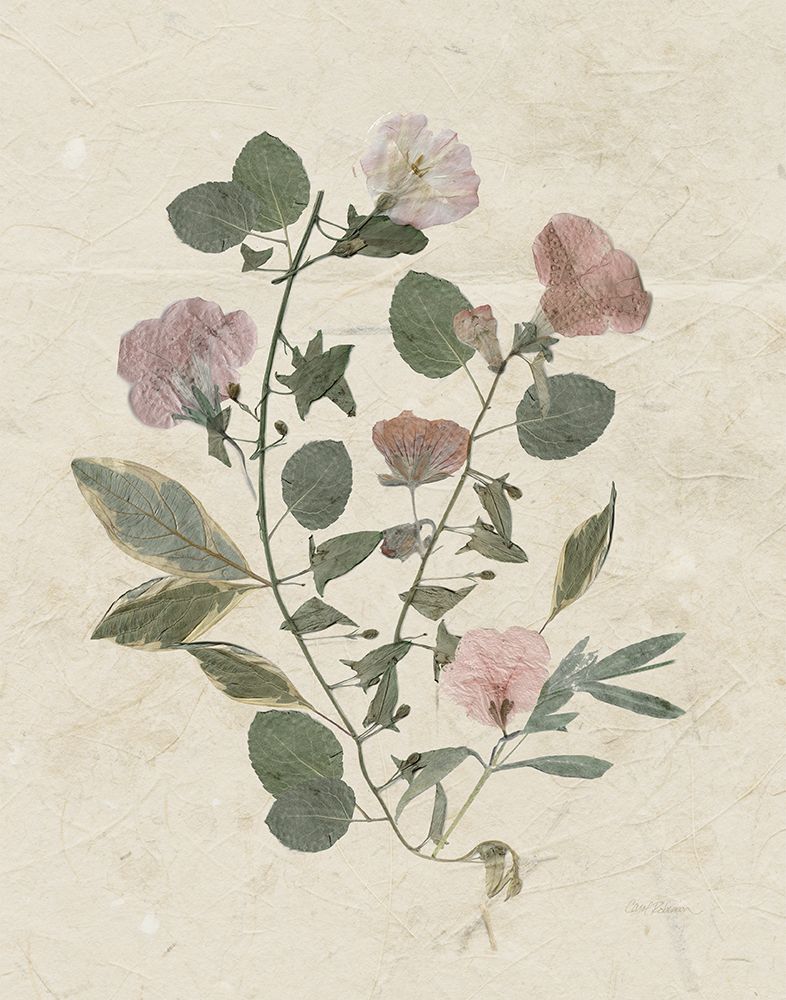 Pressed Arrangement I art print by Carol Robinson for $57.95 CAD