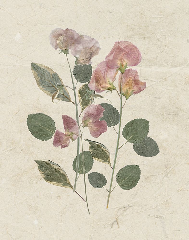 Pressed Arrangement II art print by Carol Robinson for $57.95 CAD