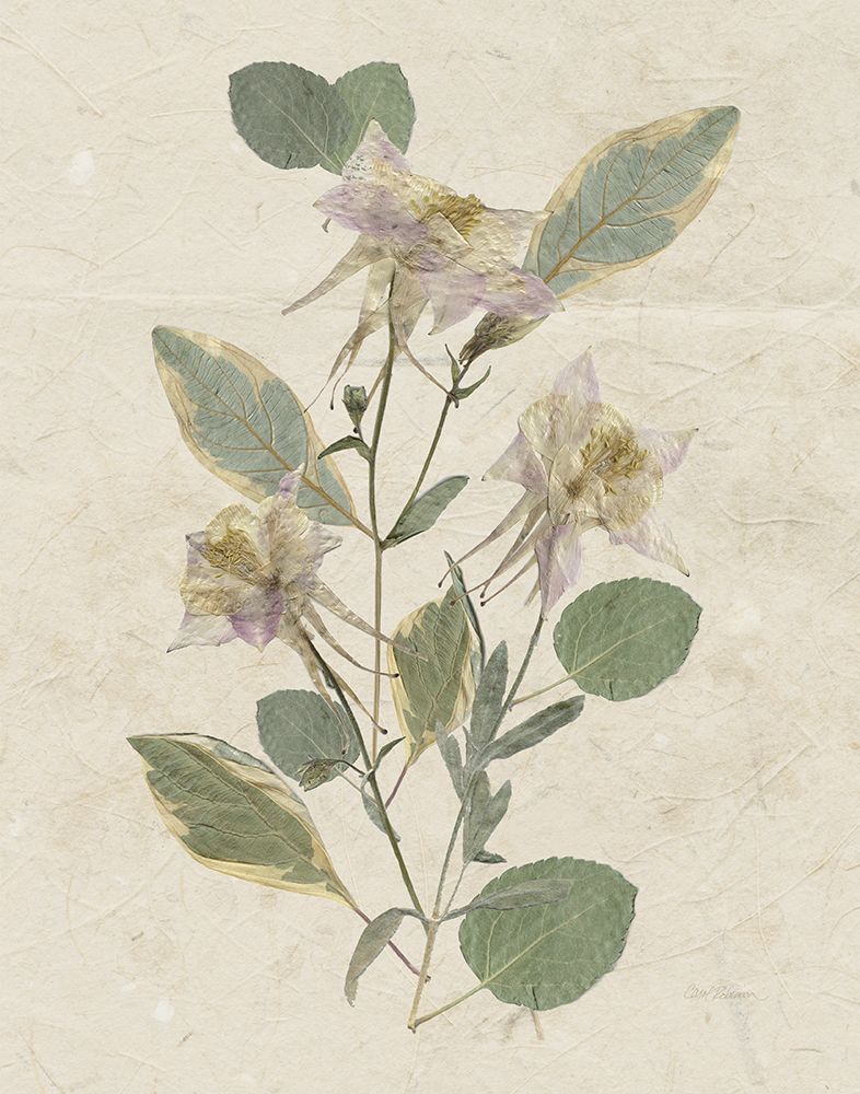 Pressed Arrangement III art print by Carol Robinson for $57.95 CAD
