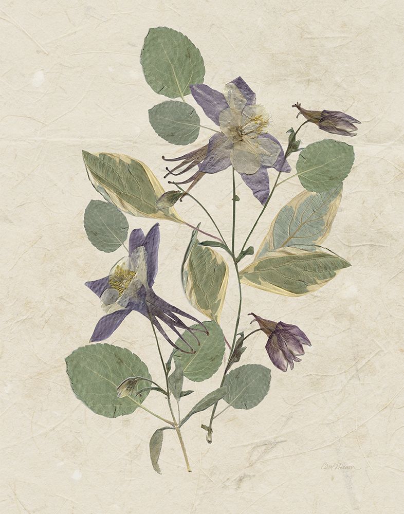 Pressed Arrangement IV art print by Carol Robinson for $57.95 CAD