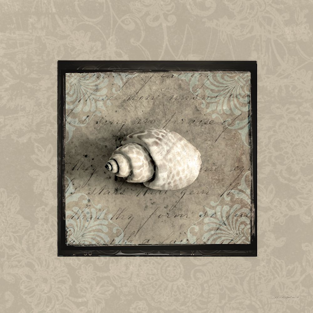 Fancy Shell I art print by Rhonda Addison for $57.95 CAD