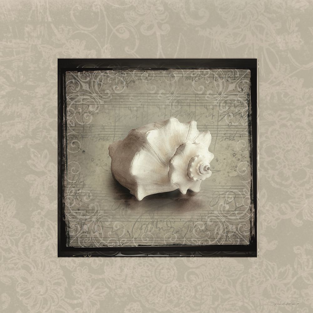 Fancy Shell II art print by Rhonda Addison for $57.95 CAD