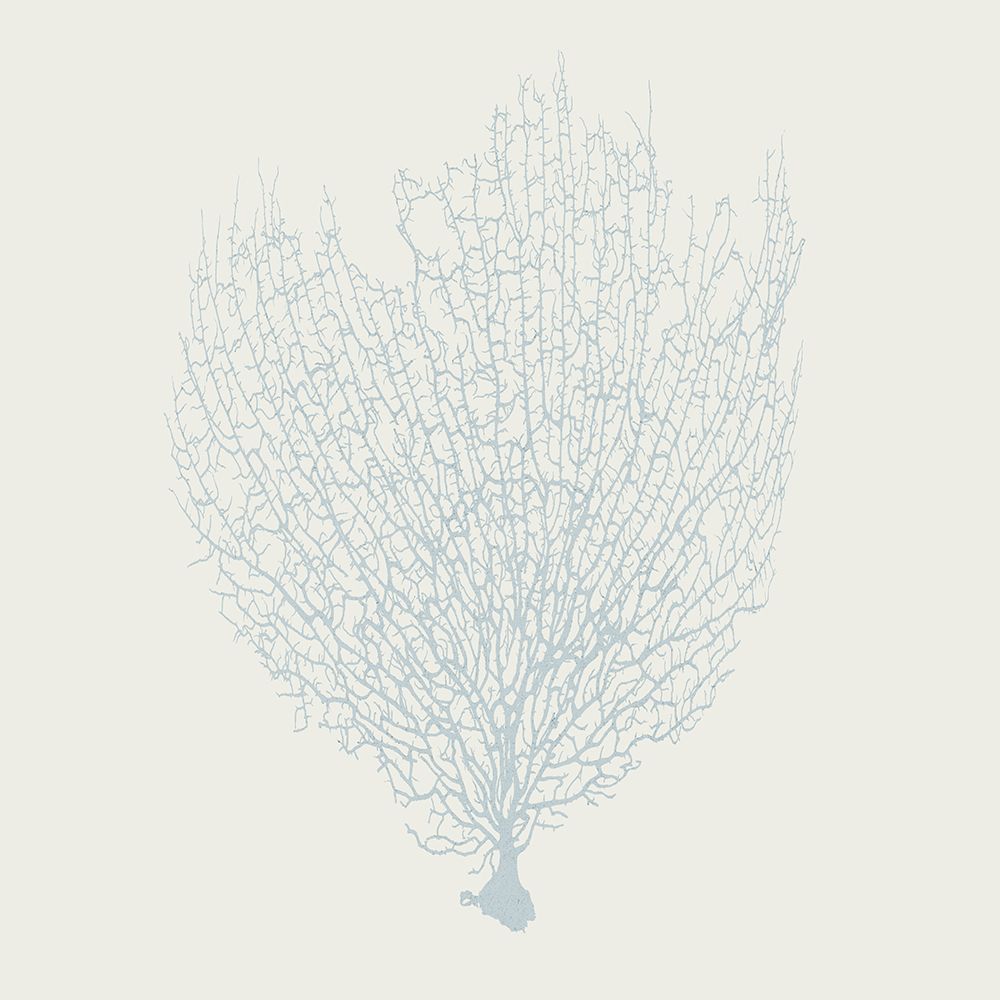 Soft Coral I art print by Nan for $57.95 CAD
