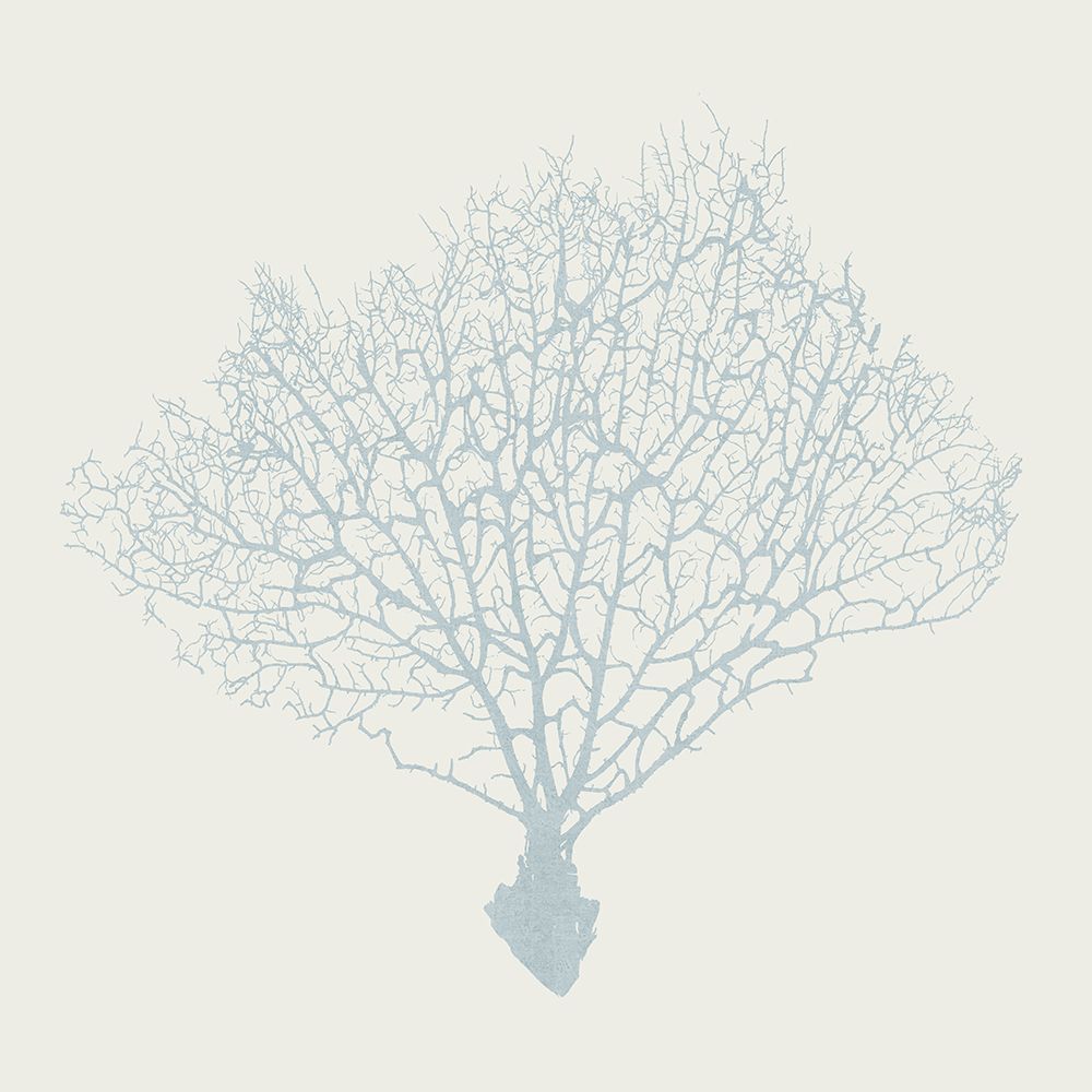Soft Coral II art print by Nan for $57.95 CAD