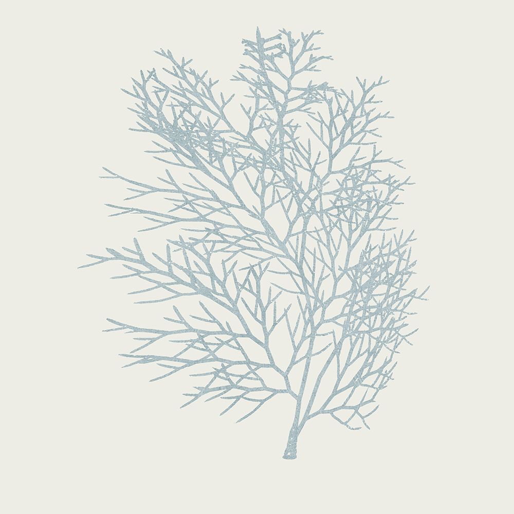 Soft Coral III art print by Nan for $57.95 CAD