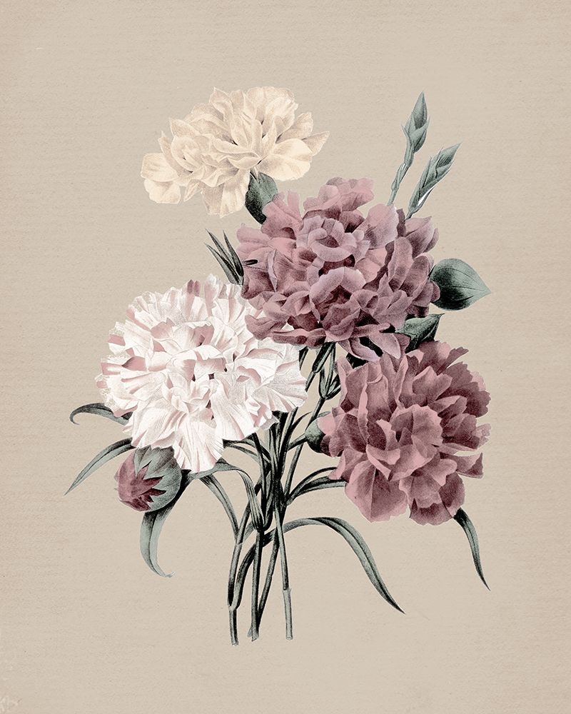 Antique Botanical I art print by Carol Robinson for $57.95 CAD