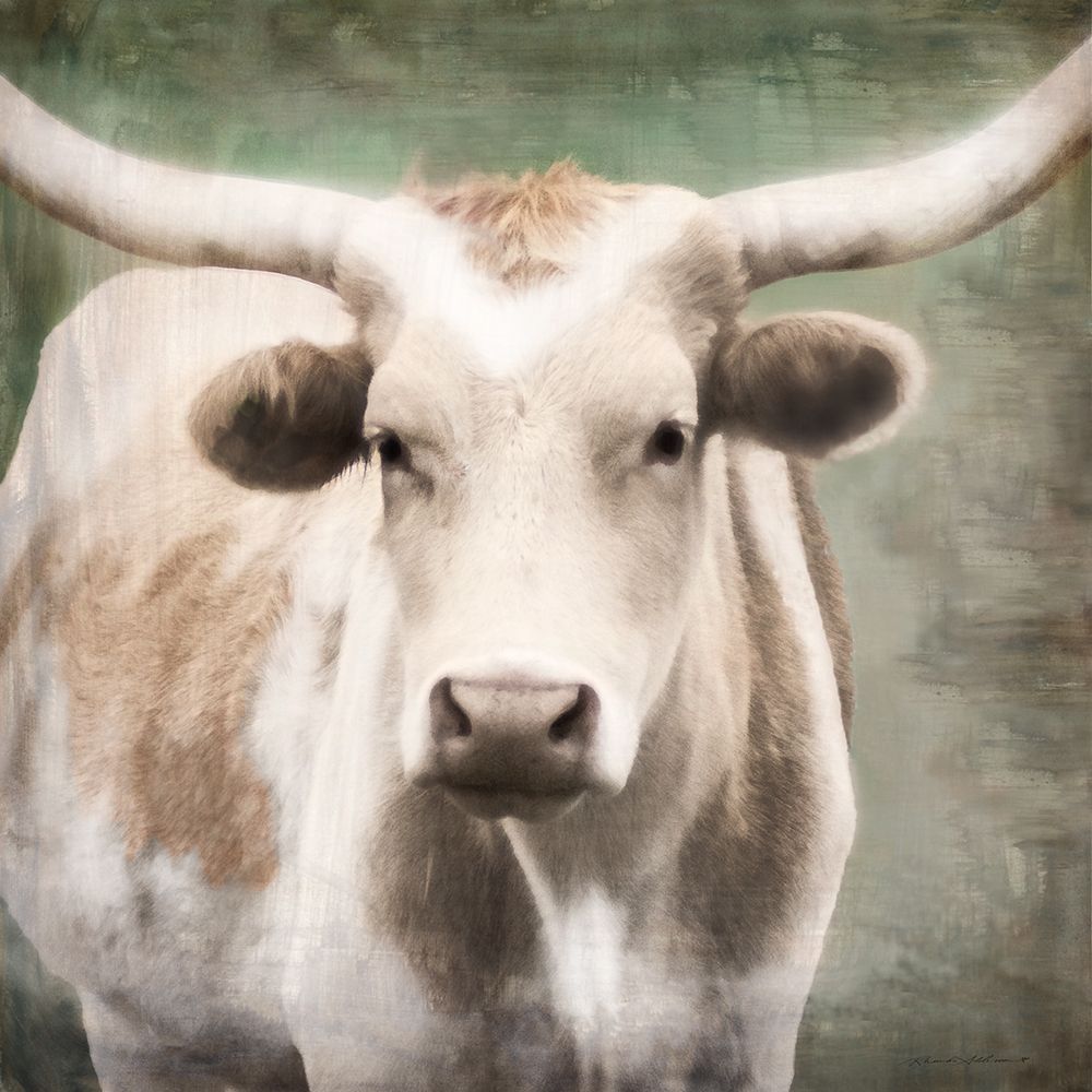 Tan Longhorn art print by Rhonda Addison for $57.95 CAD