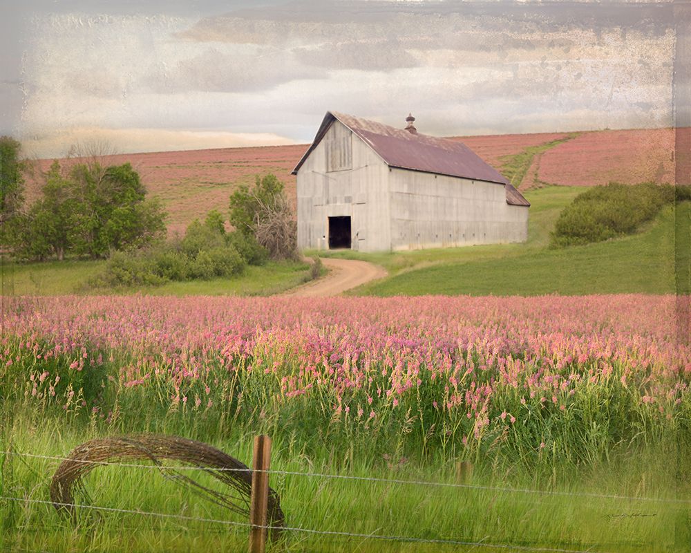 Eden Barn in Flower Fields art print by Rhonda Addison for $57.95 CAD