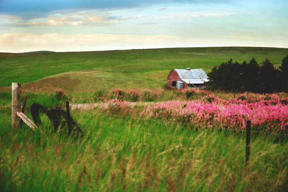 Eden Flower Fields and Barn art print by Rhonda Addison for $57.95 CAD