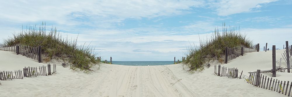 Path to Corolla art print by Natalie Carpentieri for $57.95 CAD