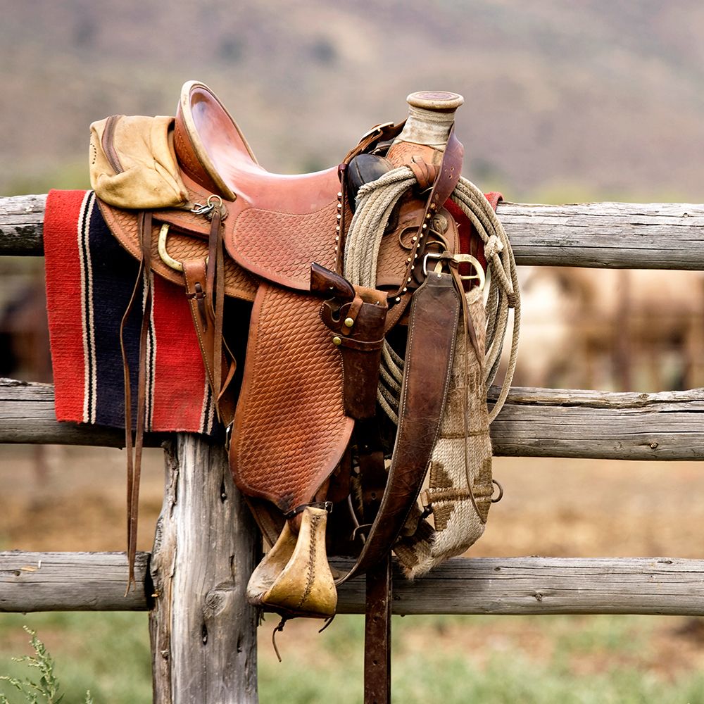 Saddle Up art print by Danita Delimont for $57.95 CAD