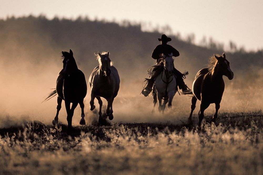 Ranchers Ride art print by Danita Delimont for $57.95 CAD