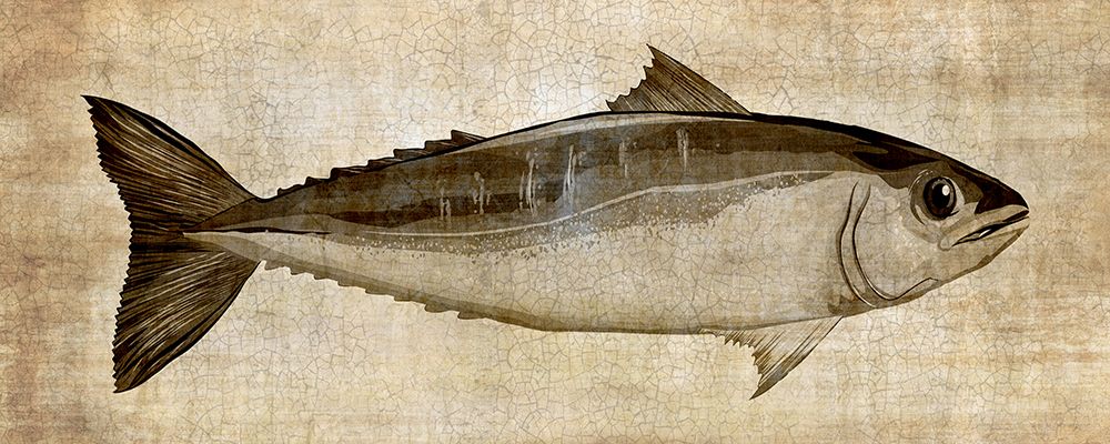 Big Catch I art print by Conrad Knutsen for $57.95 CAD