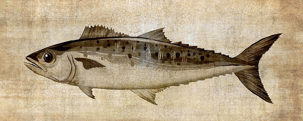 Big Catch II art print by Conrad Knutsen for $57.95 CAD