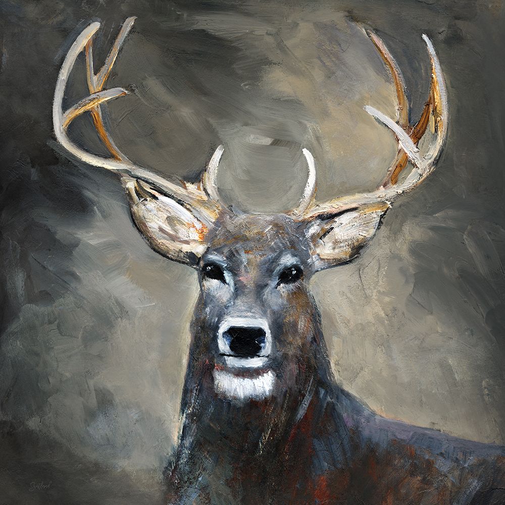 Buck art print by Sally Swatland for $57.95 CAD