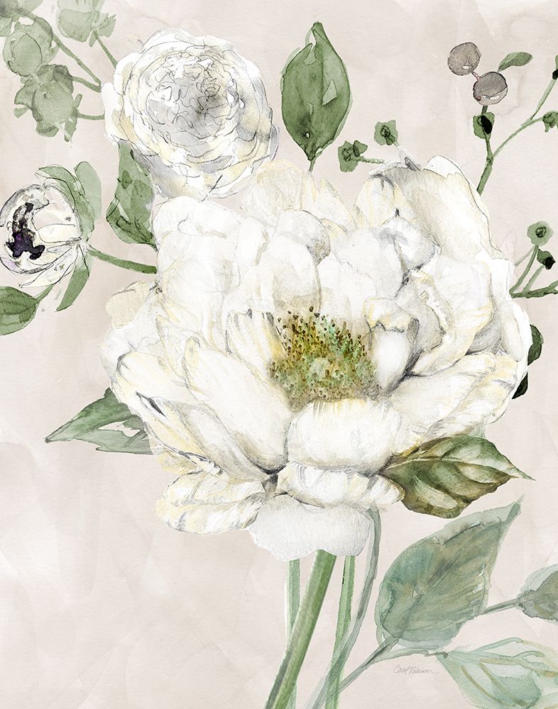 Garden Elegance II art print by Carol Robinson for $57.95 CAD
