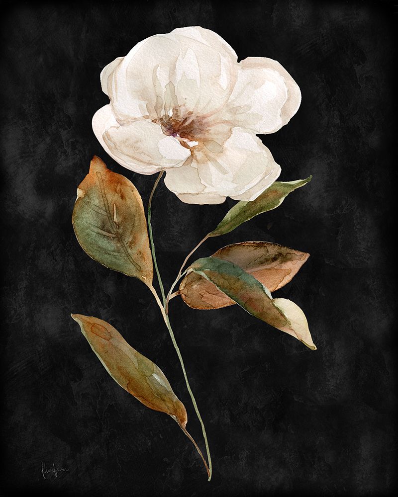 Botanical on Black Wash I art print by Livi Finn for $57.95 CAD