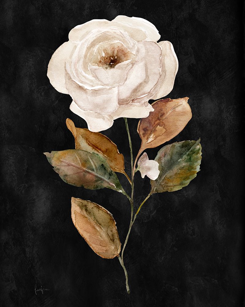 Botanical on Black Wash II art print by Livi Finn for $57.95 CAD