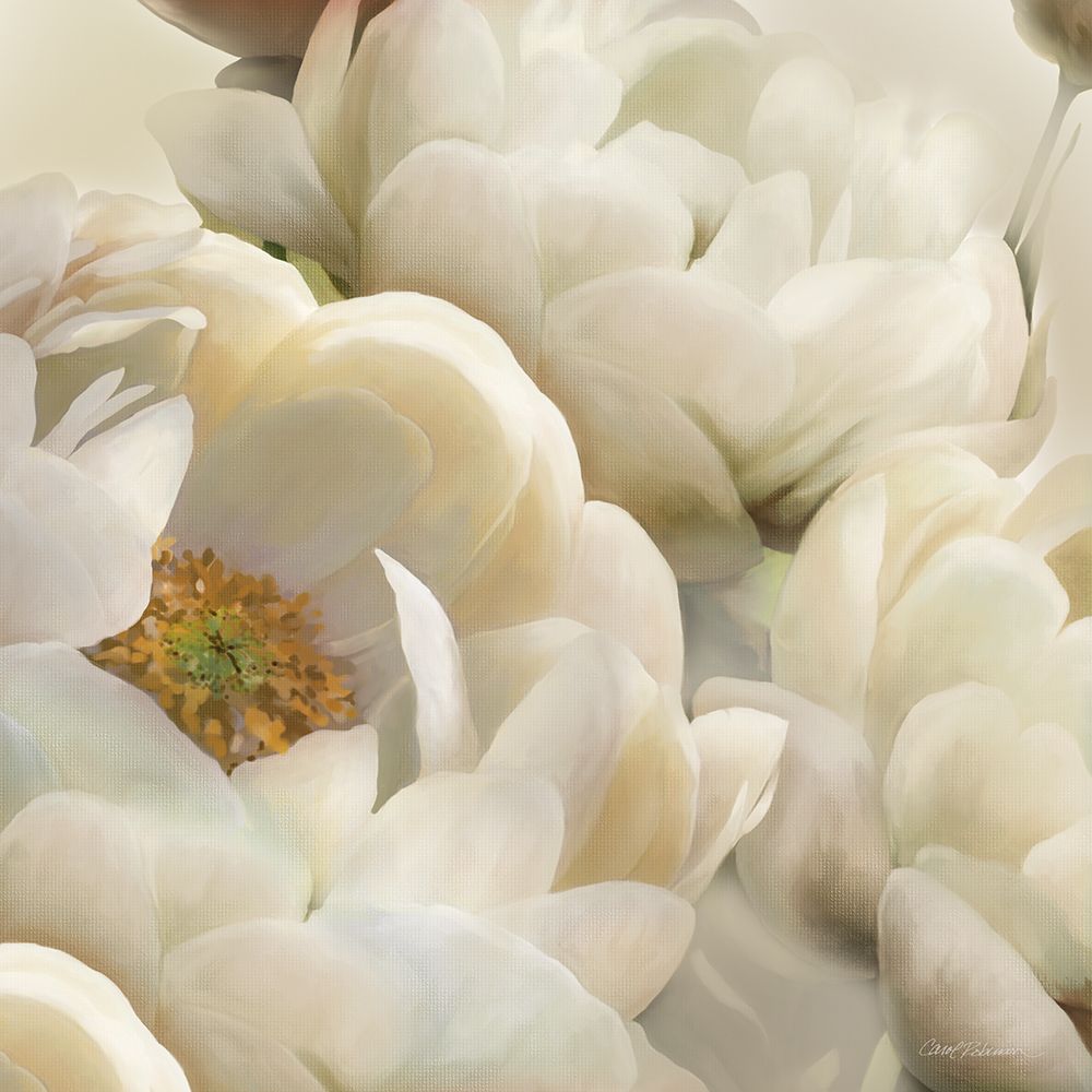 Floral Shadows II art print by Carol Robinson for $57.95 CAD
