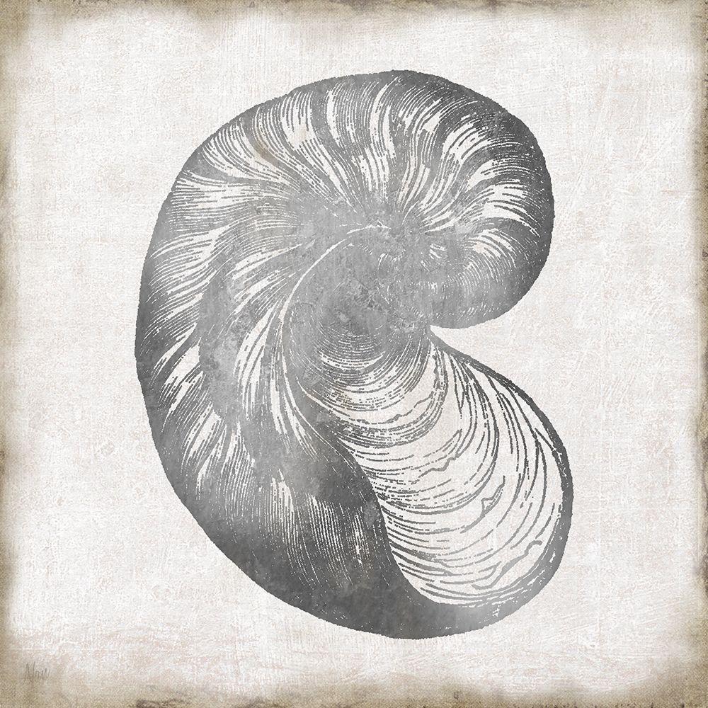 Silver Shell I art print by Nan for $57.95 CAD