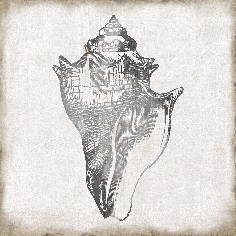 Silver Shell II art print by Nan for $57.95 CAD