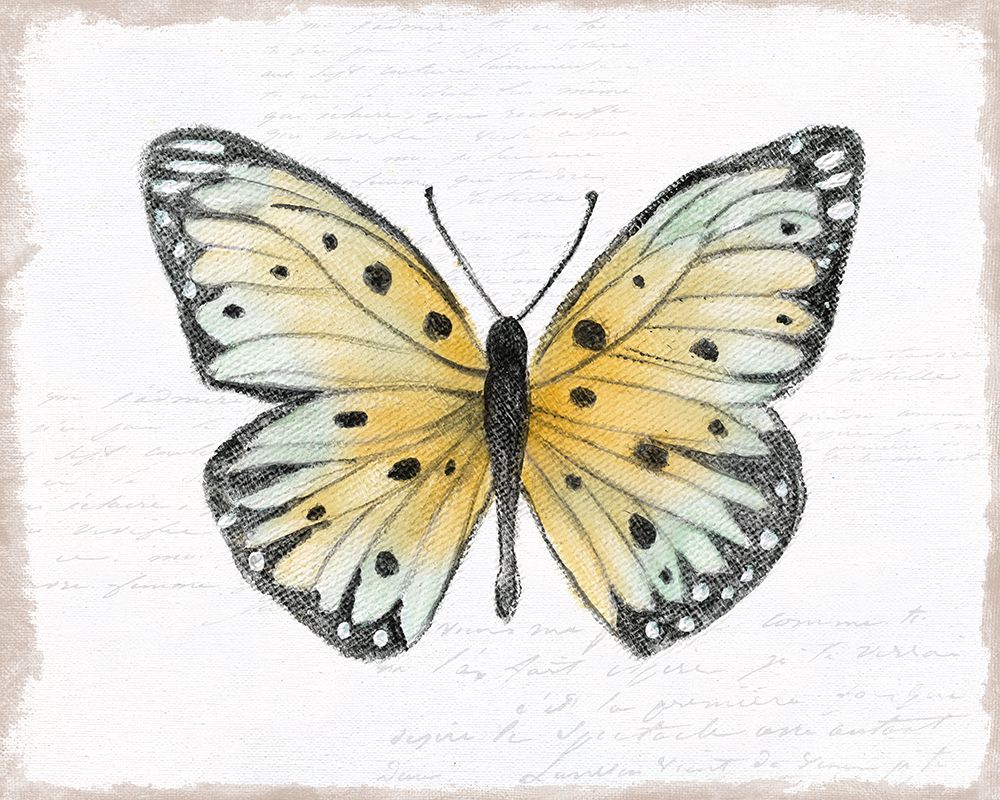 Vintage Flutter I art print by Tava Studios for $57.95 CAD