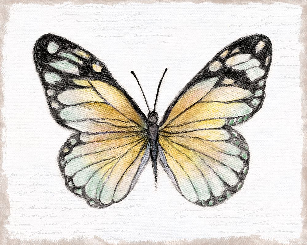 Vintage Flutter II art print by Tava Studios for $57.95 CAD