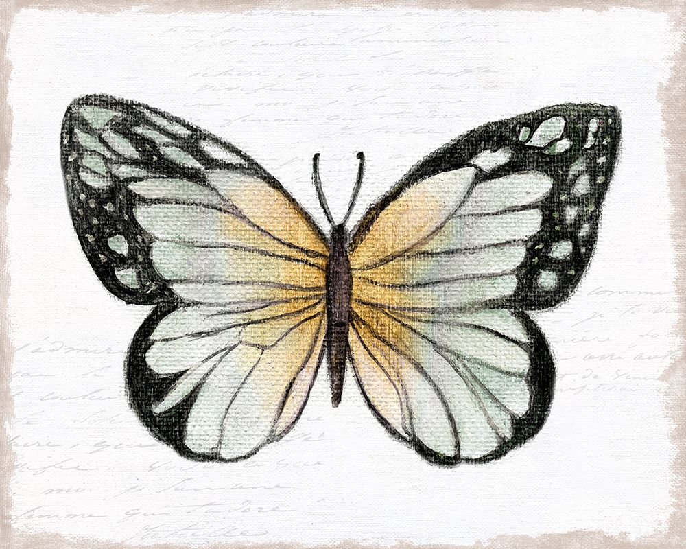 Vintage Flutter IV art print by Tava Studios for $57.95 CAD