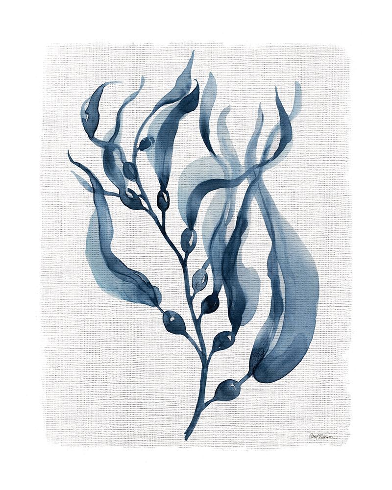 Navy Kelp I art print by Carol Robinson for $57.95 CAD