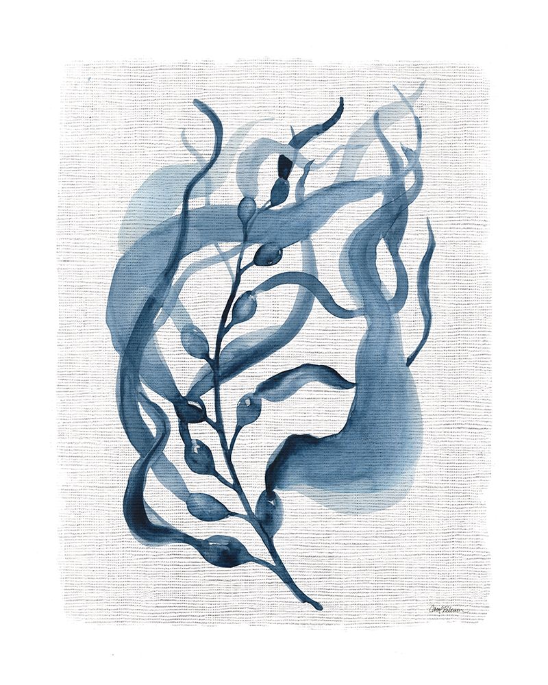 Navy Kelp II art print by Carol Robinson for $57.95 CAD