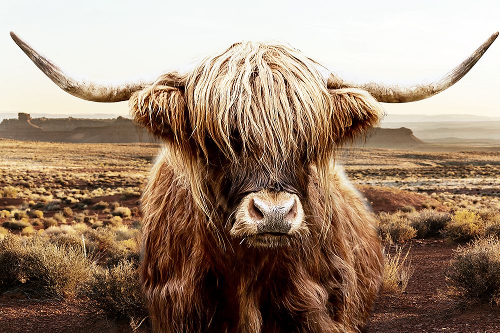 Valley Highland art print by CAD Design for $57.95 CAD