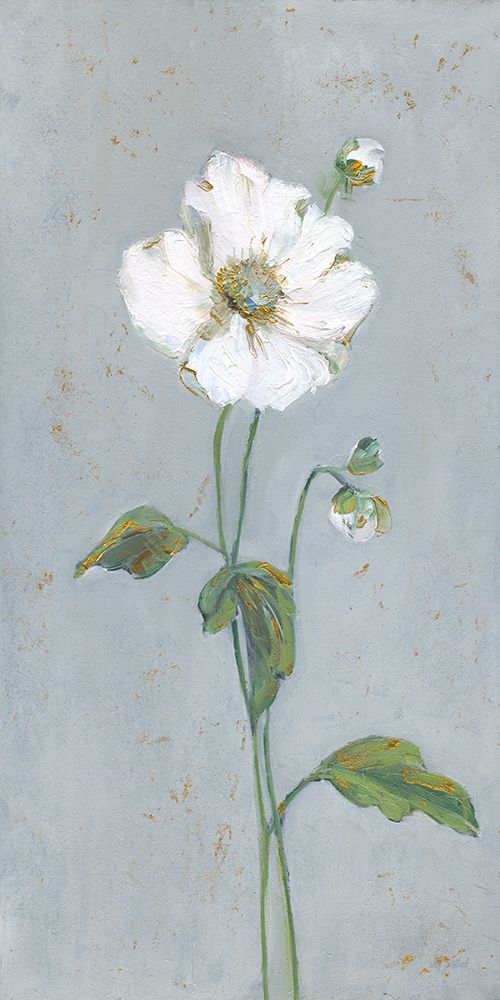 Flower Portrait with Gold II art print by Sally Swatland for $57.95 CAD