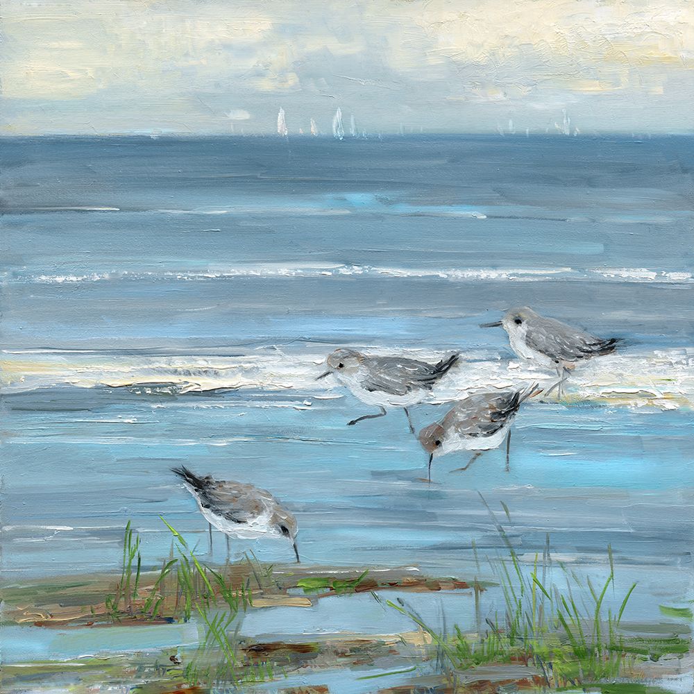 Dunlin Beach I art print by Sally Swatland for $57.95 CAD