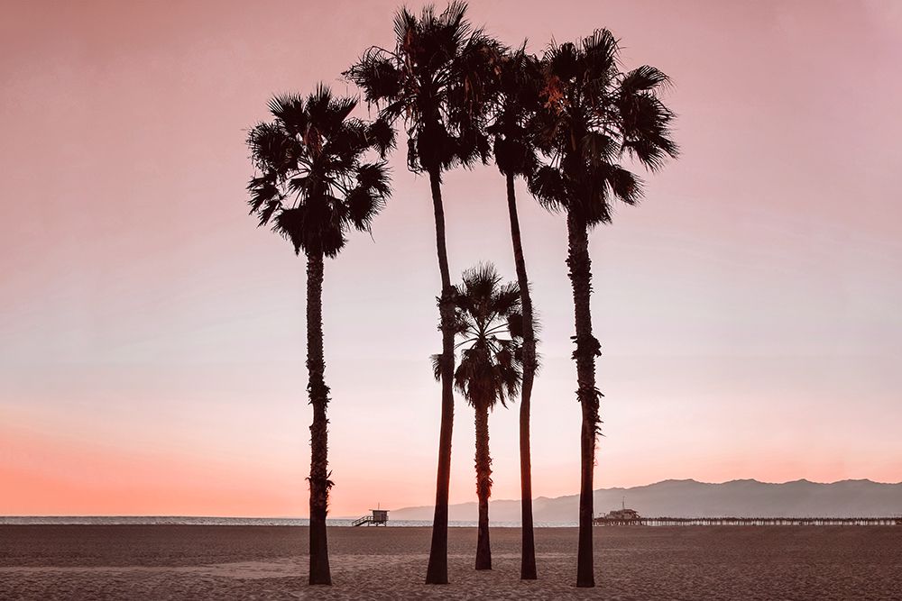 Santa Monica Pinks art print by Natalie Carpentieri for $57.95 CAD